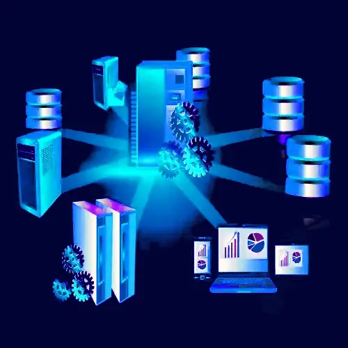 Database Management Services